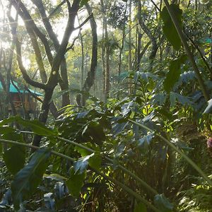 Dream Catcher Resort